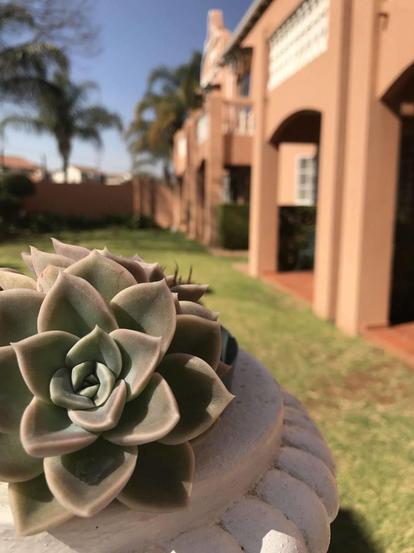 The Elegant Lodge Menlo Park Pretoria-Noord Eksteriør billede